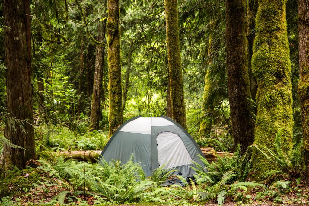 Mount Hood Village Premium Yurt 4 Welches Εξωτερικό φωτογραφία